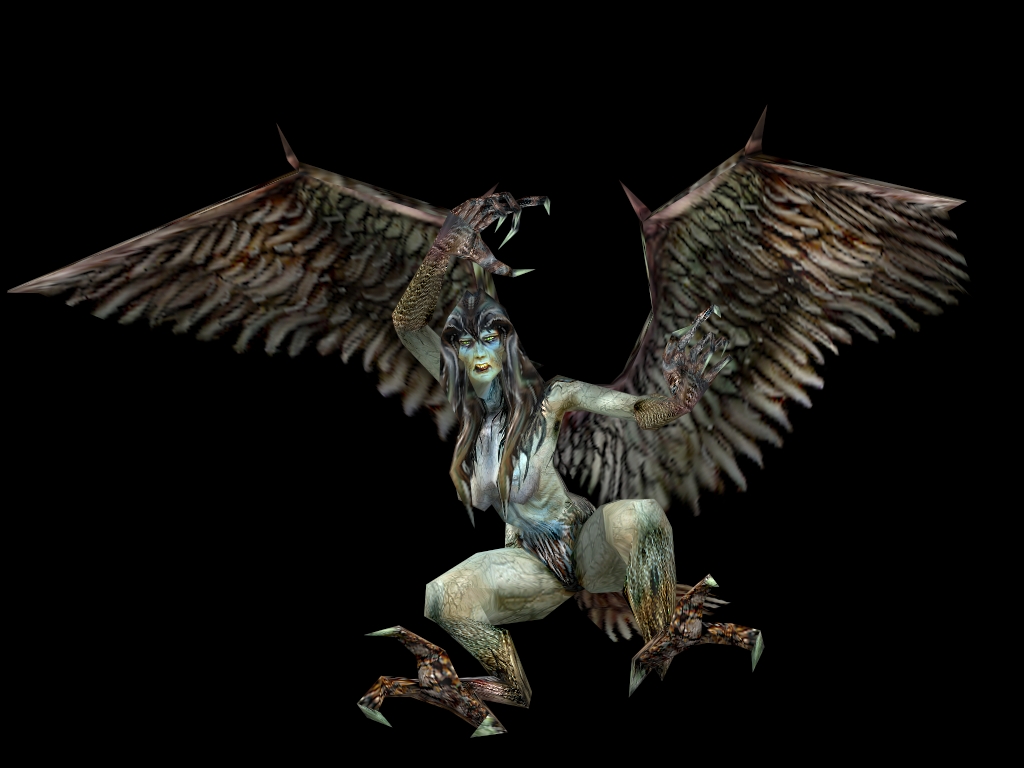 Harpy