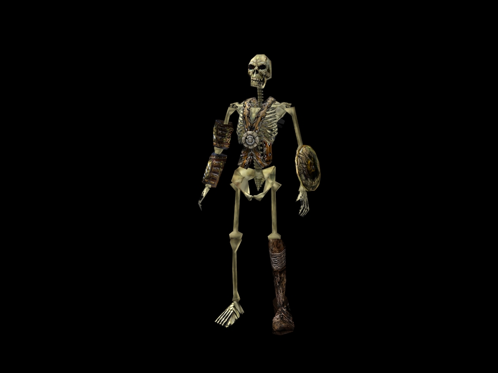 Skeleton C