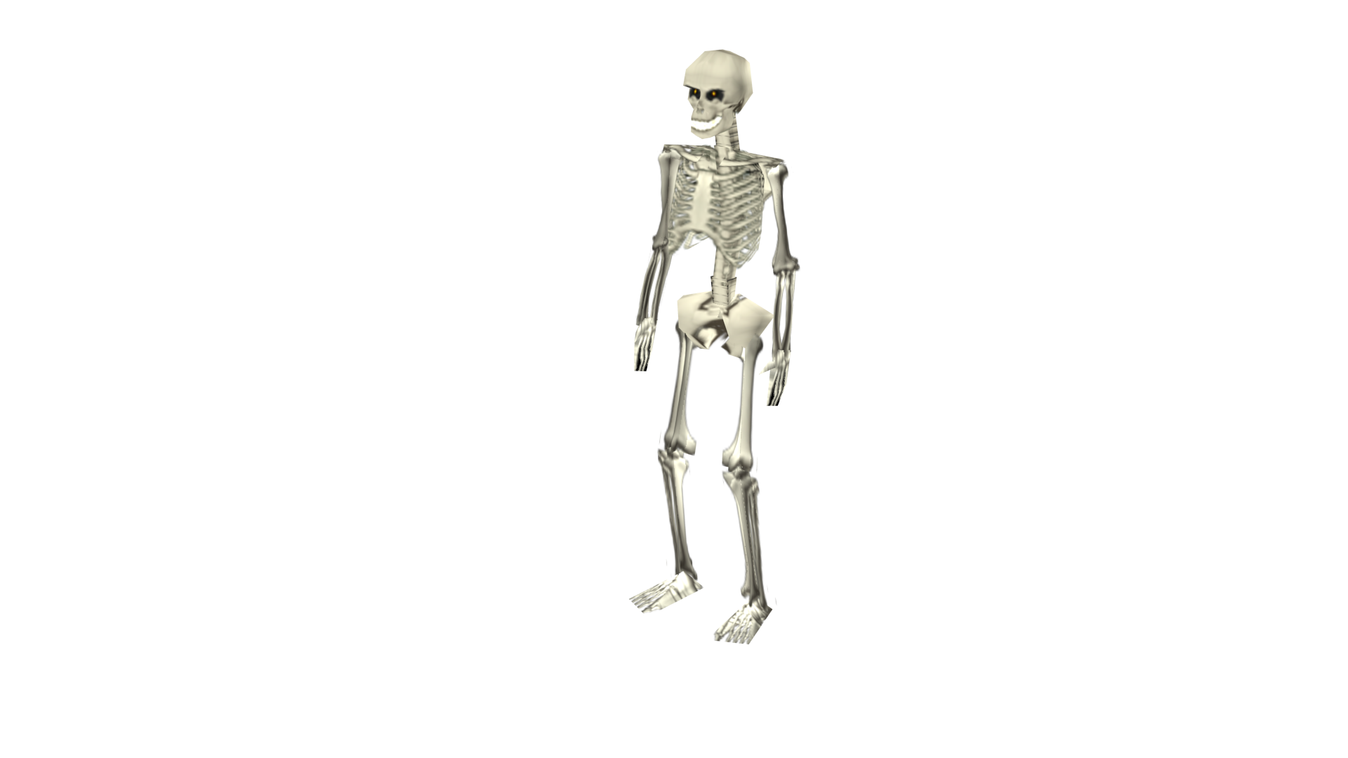 Skeleton Position 1