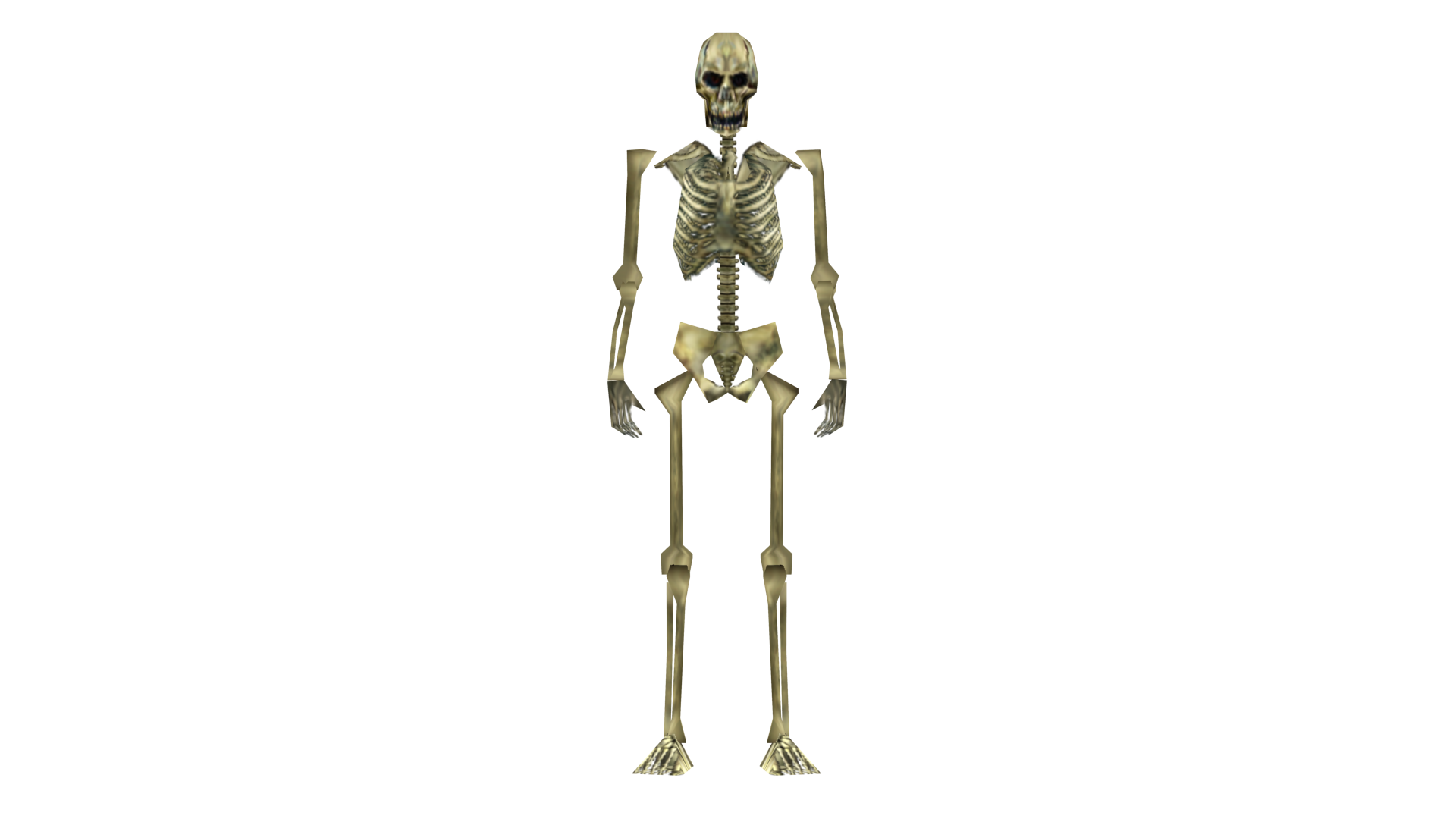 Skeleton Front