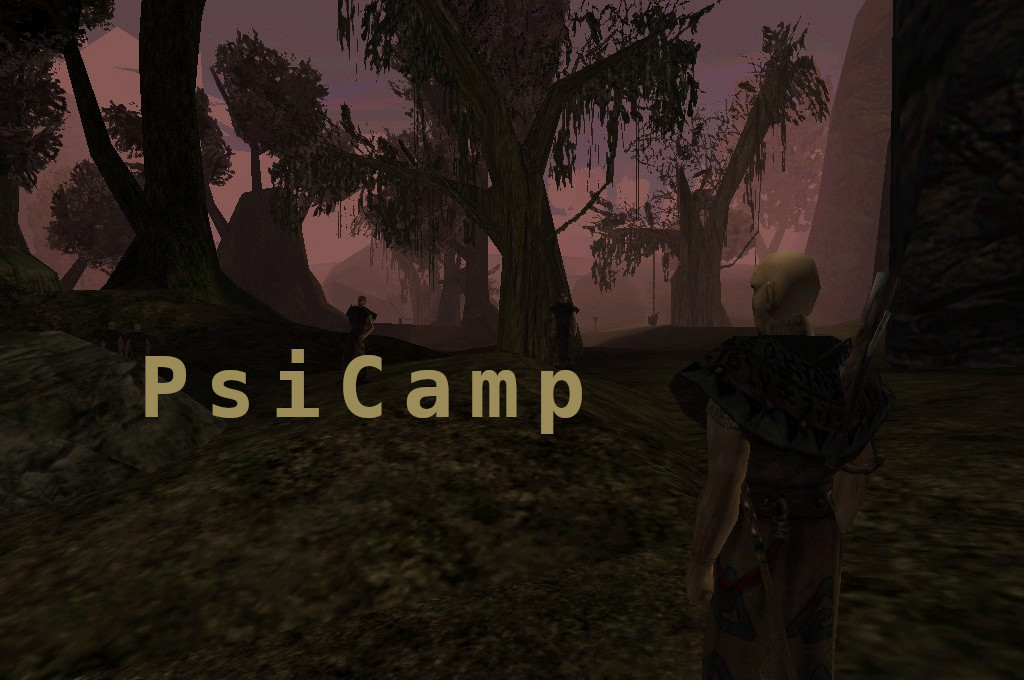 Psi Camp